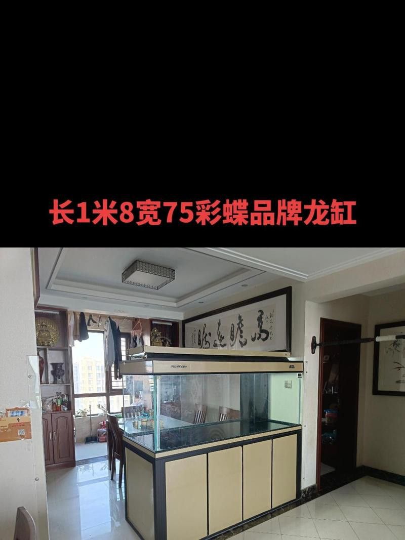 二手龍魚缸多少錢一斤啊