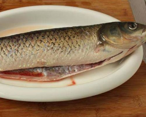 金龍魚為什么有魚腥味(金龍魚怎么保存?) 龍魚百科 第3張 金龍魚為什么有魚腥味(金龍魚怎么保存?) 金龍魚為什么有魚腥味(金龍魚怎么保存?) 龍魚百科 第3張