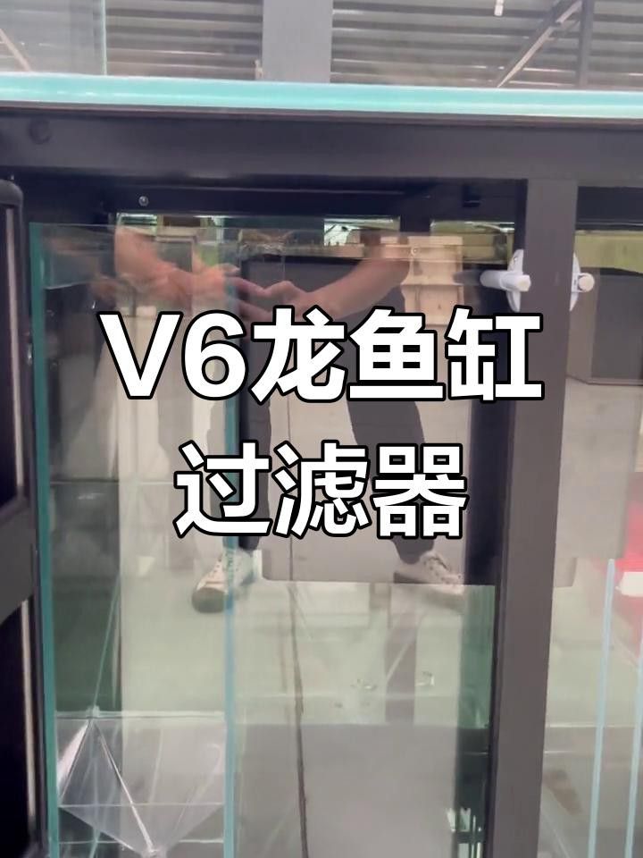 如何維護(hù)高端龍魚(yú)缸？
