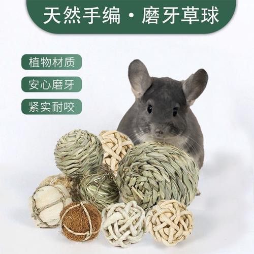 如何為龍貓選擇合適的玩具? 龍魚百科 第2張 如何為龍貓選擇合適的玩具? 如何為龍貓選擇合適的玩具? 龍魚百科 第2張
