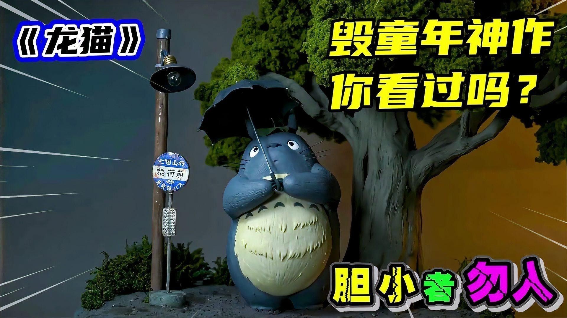 如何為龍貓選擇合適的玩具？ 如何為龍貓選擇合適的玩具？ 龍魚百科 第7張