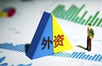金龍魚 美國控股，金龍魚全球市場競爭力如何？