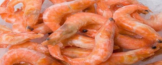 冷凍蝦怎么喂龍魚飼料：喂食龍魚冷凍蝦需要注意以下幾個步驟和注意事項