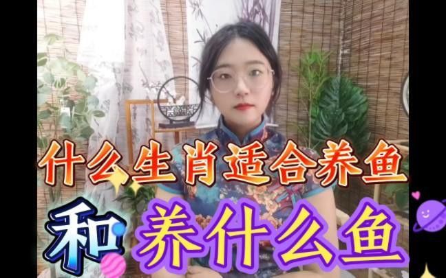 金龍魚適合哪些生肖的人養？
