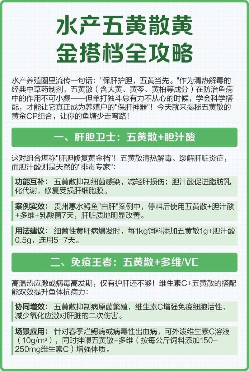 中草藥制劑治療爛鰓有哪些推薦品牌？ 中草藥制劑治療爛鰓有哪些推薦品牌？ 龍魚百科 第5張