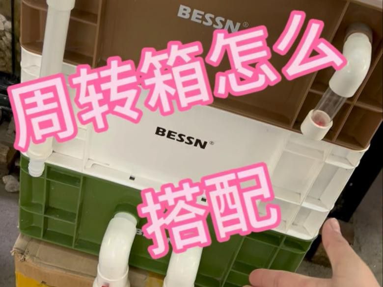 如何設置3層周轉箱過濾系統？ 如何設置3層周轉箱過濾系統？ 龍魚百科 第2張