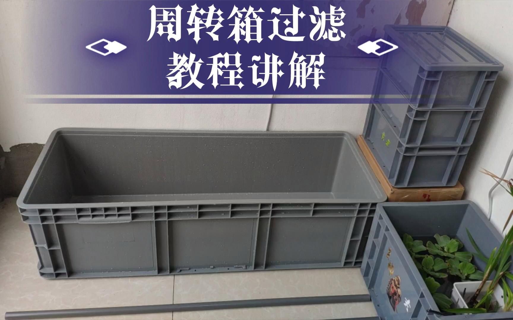 如何設置3層周轉箱過濾系統？ 如何設置3層周轉箱過濾系統？ 龍魚百科 第5張