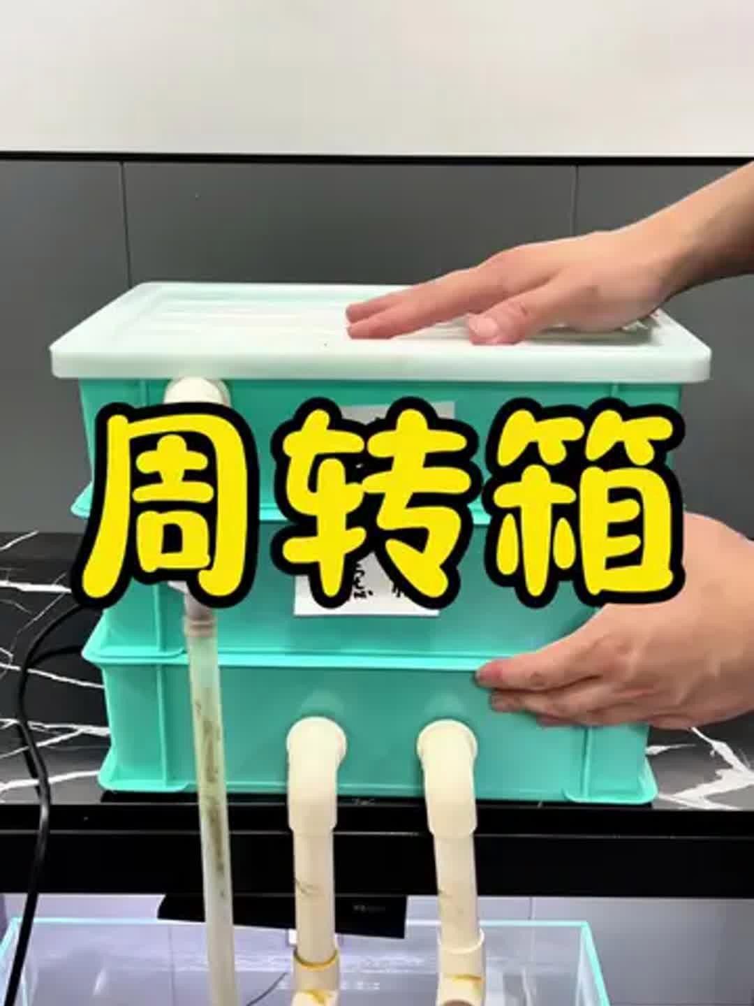如何設置3層周轉箱過濾系統？ 如何設置3層周轉箱過濾系統？ 龍魚百科 第4張