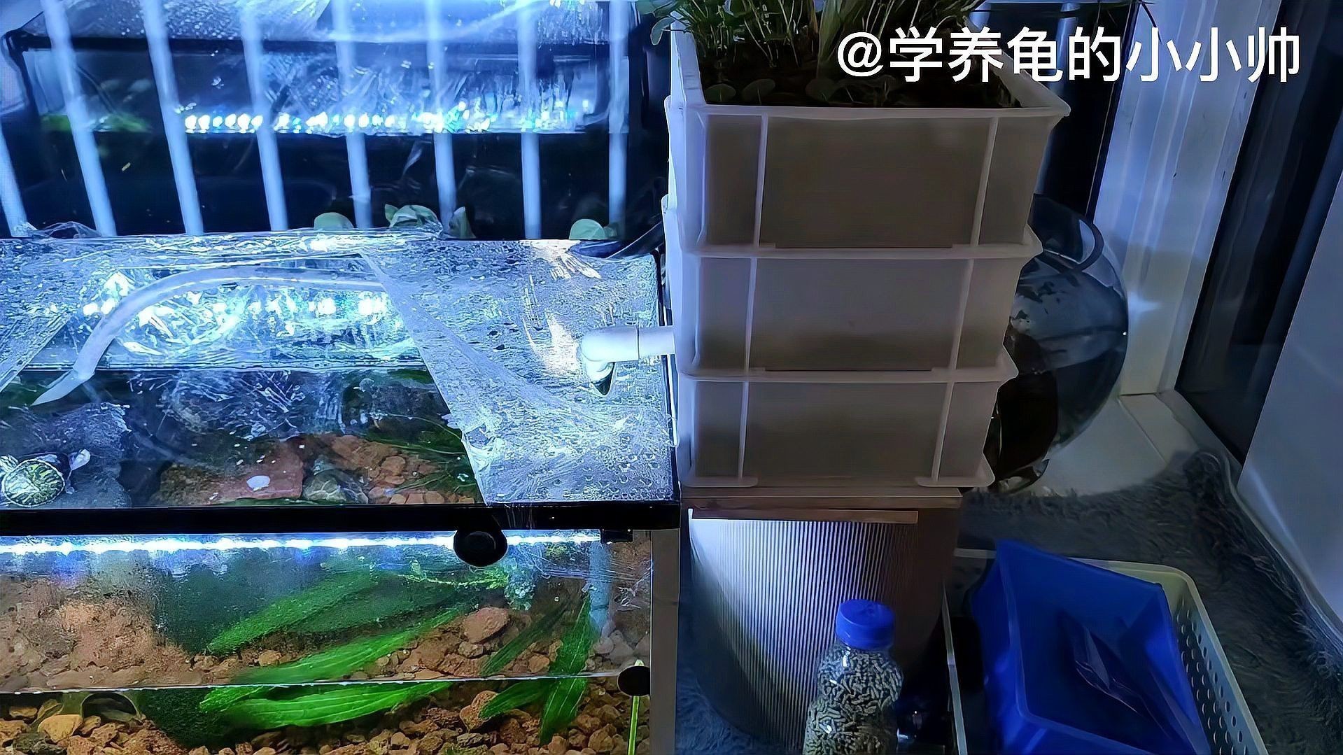 如何設置3層周轉箱過濾系統？ 如何設置3層周轉箱過濾系統？ 龍魚百科 第6張