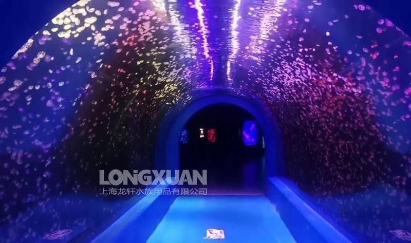 50厘米金龍魚需要多大的過濾器？