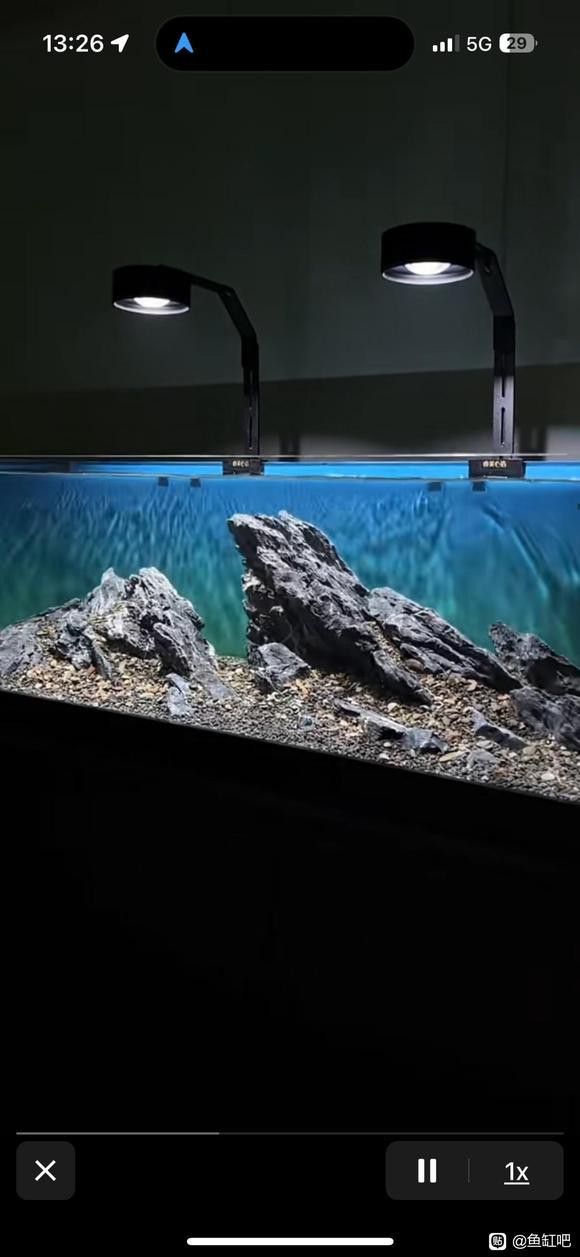 50厘米金龍魚需要多大的過濾器？