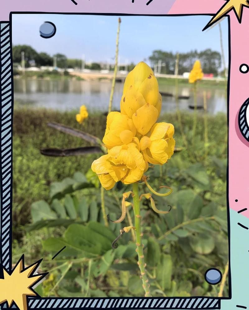 龍頭魚掛件開光后如何保養(yǎng)？