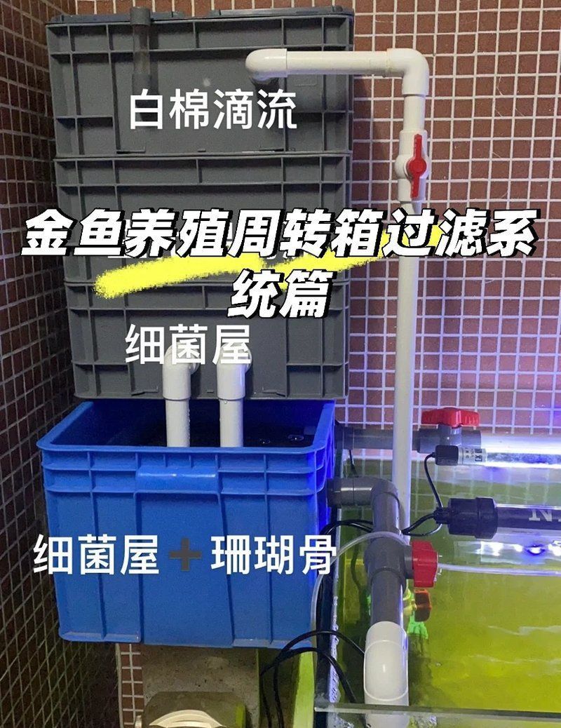 金魚缸最佳濾材