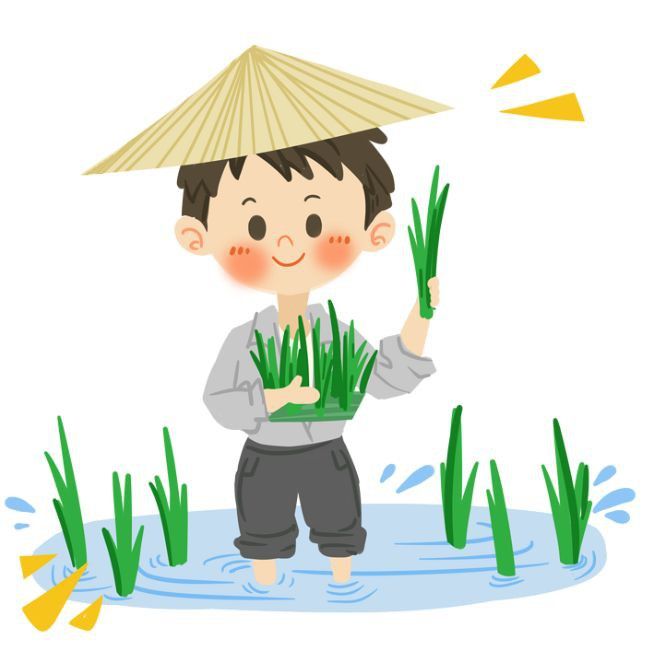 金魚缸最佳濾材