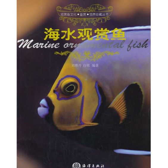 劉雅丹和白明是如何合作的？ 劉雅丹和白明是如何合作的？ 龍魚百科 第2張