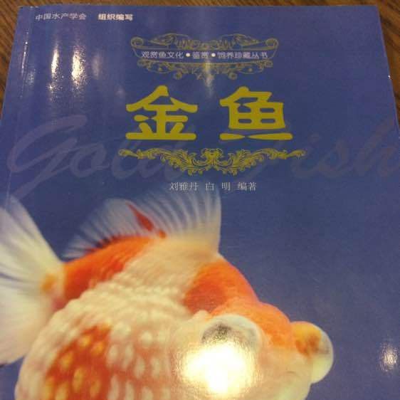 劉雅丹和白明是如何合作的？ 劉雅丹和白明是如何合作的？ 龍魚百科 第1張