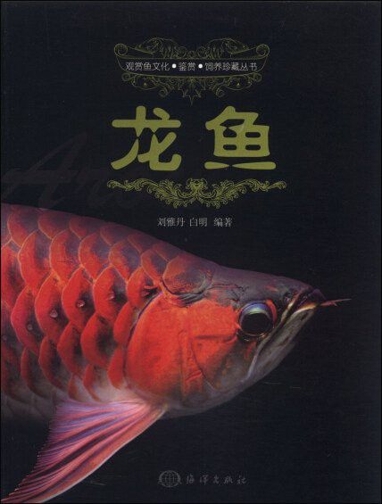 劉雅丹和白明是如何合作的？ 劉雅丹和白明是如何合作的？ 龍魚百科 第4張