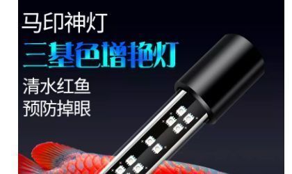 龍魚發色燈和增艷燈什么區別啊（龍魚發色燈和增艷燈的主要區別在于它們的目的和使用場景） 龍魚發色燈和增艷燈什么區別啊（龍魚發色燈和增艷燈的主要區別在于它們的目的和使用場景） 龍魚百科 第4張