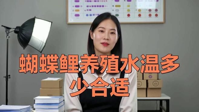 龍魚和蝴蝶鯉混養(yǎng)秘訣圖片 龍魚和蝴蝶鯉混養(yǎng)秘訣圖片 龍魚百科 第2張