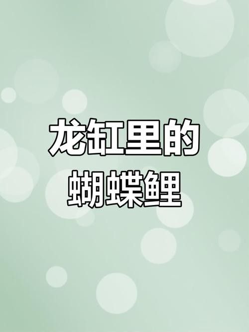 龍魚和蝴蝶鯉混養(yǎng)秘訣圖片 龍魚和蝴蝶鯉混養(yǎng)秘訣圖片 龍魚百科 第21張
