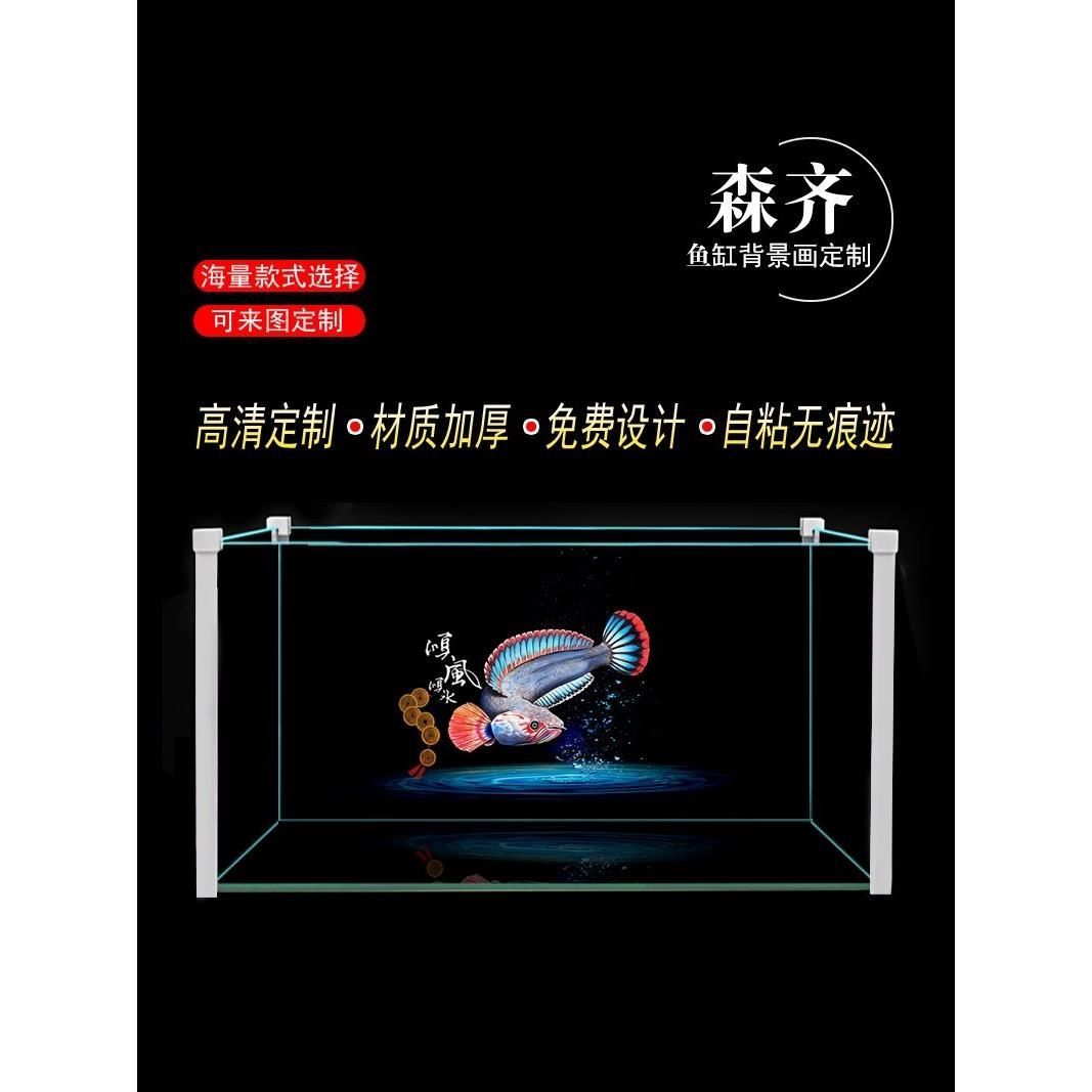 雷龍魚產地是亞馬遜的嗎，雷龍魚在亞馬遜河流域的分布