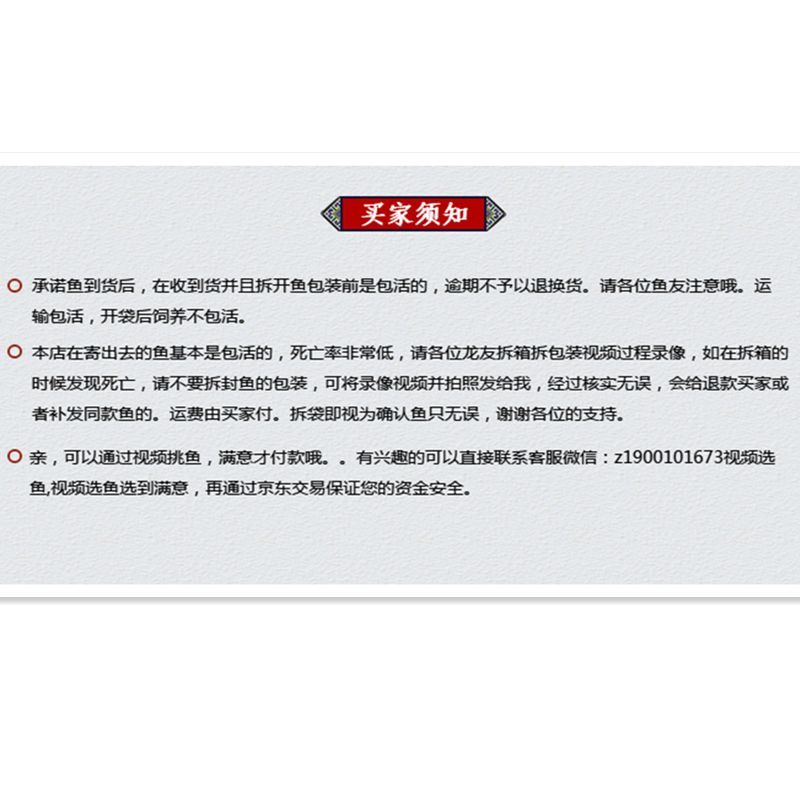 龍魚戰車是什么品種（戰車龍魚是什么品種龍魚戰車龍魚的體型特征是什么） 龍魚戰車是什么品種（戰車龍魚是什么品種龍魚戰車龍魚的體型特征是什么） 龍魚百科 第1張