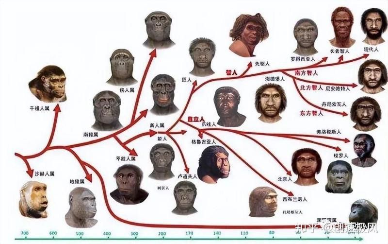 印尼龍魚養殖場圖片大全