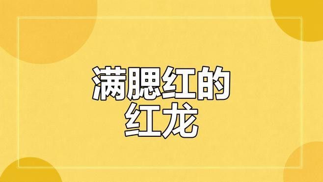 紅龍腮紅的價格是多少？