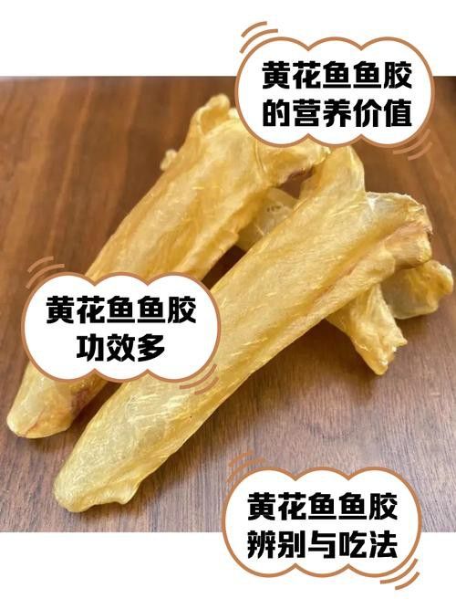 金龍魚魚膠和黃花魚魚膠的區別