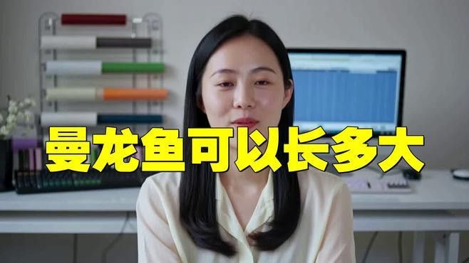 曼龍魚需要多大的魚缸