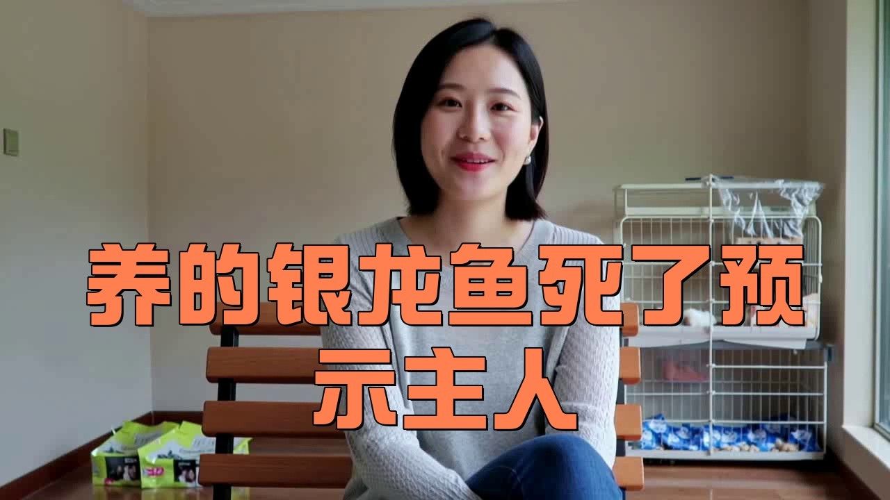 如何判斷水質是否適合銀龍魚？