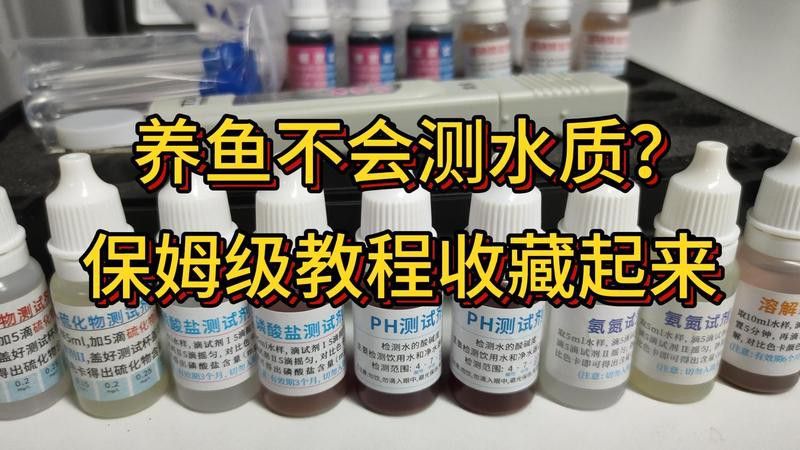 如何判斷水質是否適合銀龍魚？
