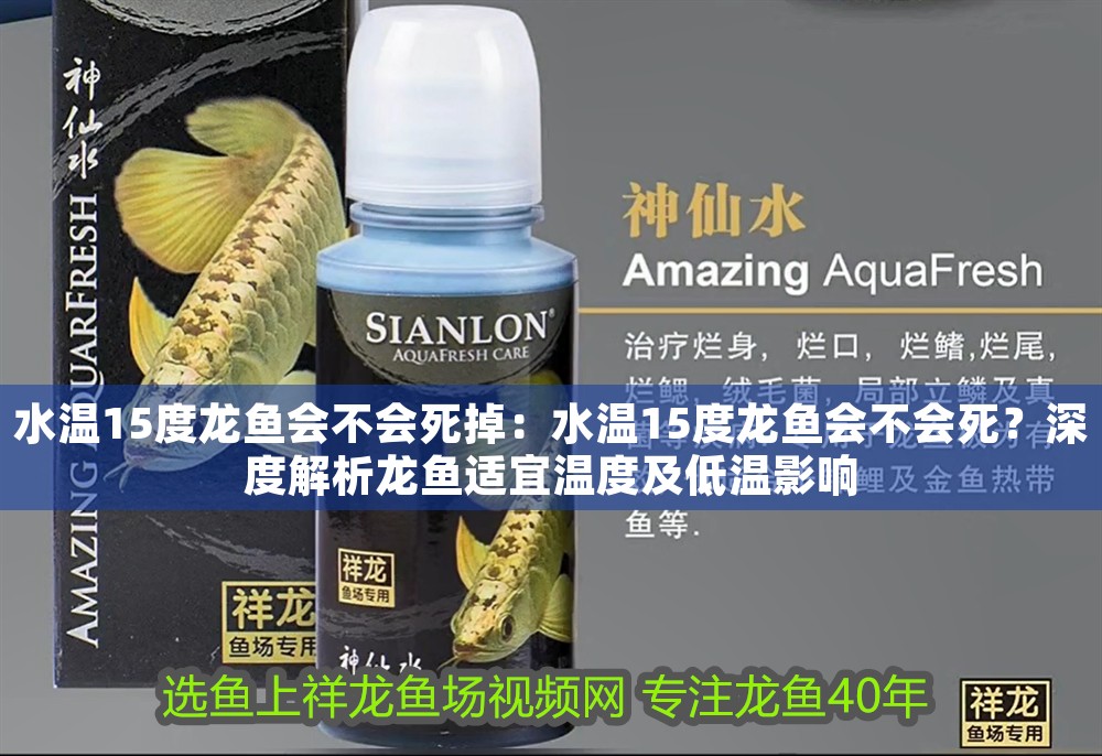 水溫15度龍魚會不會死掉：水溫15度龍魚會不會死？深度解析龍魚適宜溫度及低溫影響