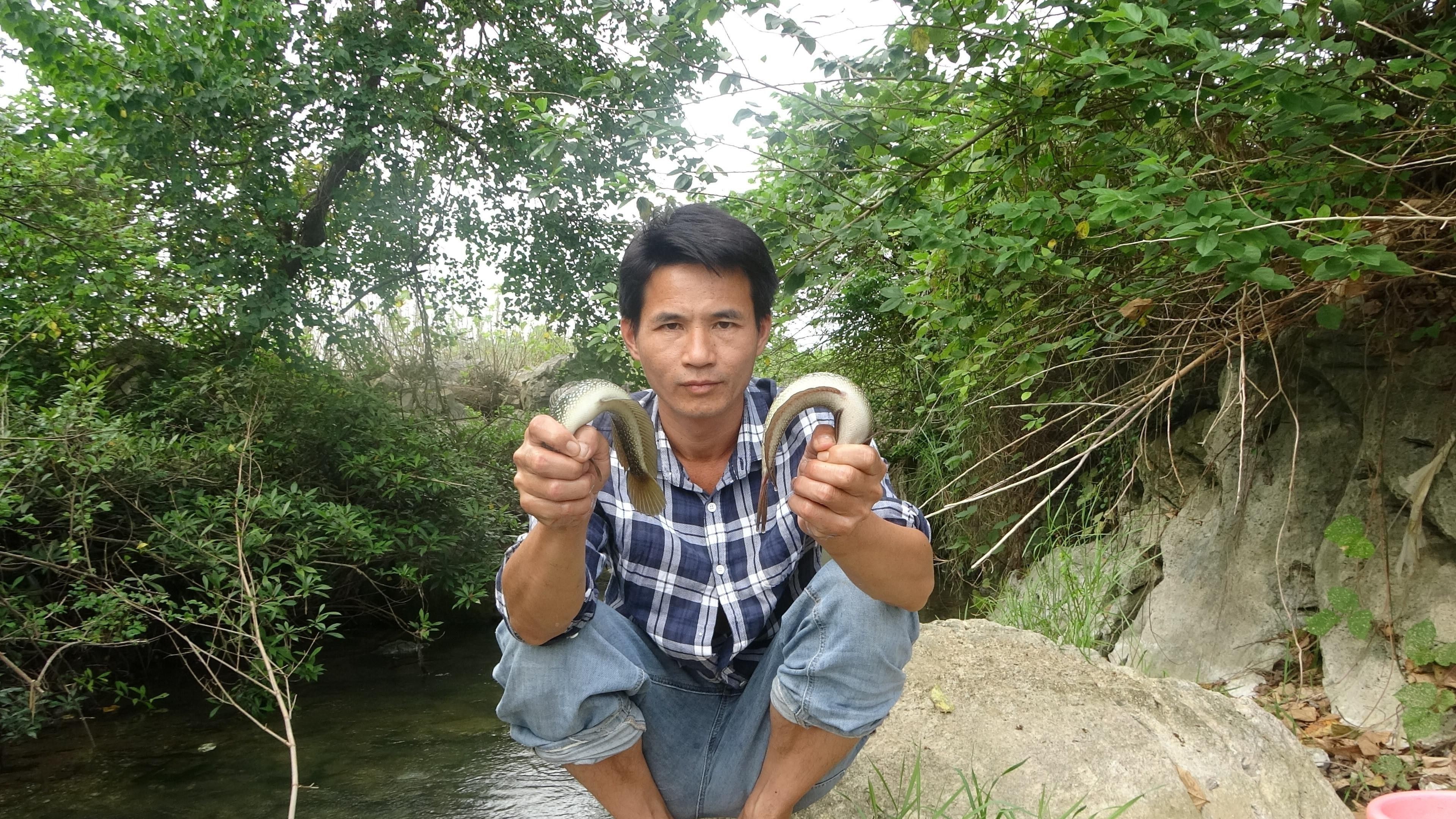 七星魚和雷龍魚哪個更適合家庭養殖？