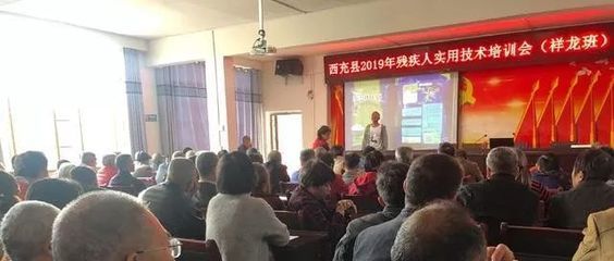祥龍漁場培訓內容詳解：祥龍漁場龍魚養殖成功案例分享