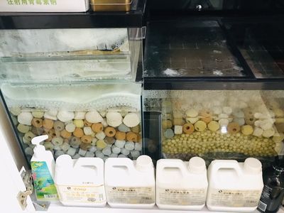 龍魚濾材擺放位置（龍魚濾材的擺放位置對水質和龍魚的健康至關重要） 龍魚濾材擺放位置（龍魚濾材的擺放位置對水質和龍魚的健康至關重要） 龍魚百科 第4張