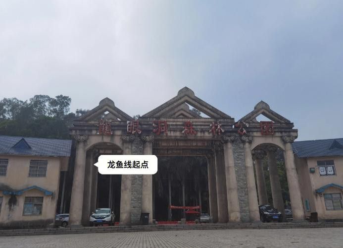 如何聯系這些龍魚漁場？ 如何聯系這些龍魚漁場？ 龍魚百科 第6張