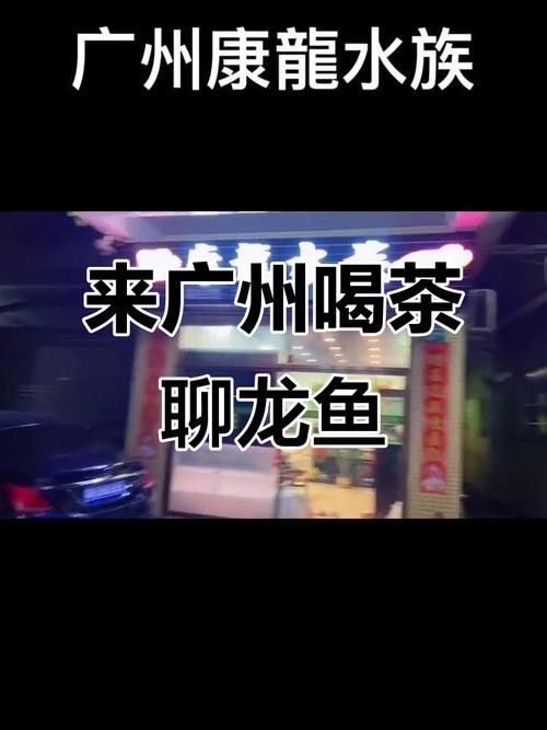 如何聯系這些龍魚漁場？ 如何聯系這些龍魚漁場？ 龍魚百科 第3張