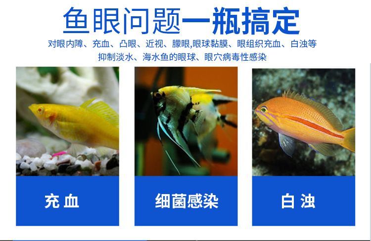 龍魚蒙眼充血：龍魚蒙眼充血的原因及其處理方法 龍魚蒙眼充血：龍魚蒙眼充血的原因及其處理方法 龍魚百科 第2張