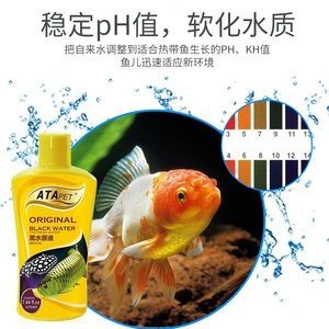如何選擇紅龍魚(yú)水族箱背景墻:在選擇紅龍魚(yú)水族箱背景墻時(shí) 龍魚(yú)百科 第3張 如何選擇紅龍魚(yú)水族箱背景墻:在選擇紅龍魚(yú)水族箱背景墻時(shí) 如何選擇紅龍魚(yú)水族箱背景墻:在選擇紅龍魚(yú)水族箱背景墻時(shí) 龍魚(yú)百科 第3張