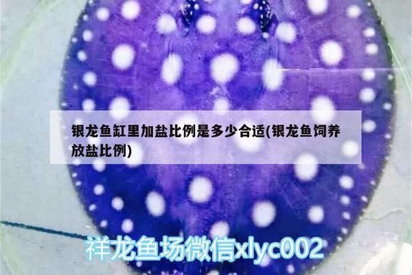 龍魚加鹽比例多少合適：龍魚加鹽比例的詳細信息，龍魚鹽療與藥物治療對比 龍魚加鹽比例多少合適：龍魚加鹽比例的詳細信息，龍魚鹽療與藥物治療對比 龍魚百科 第1張