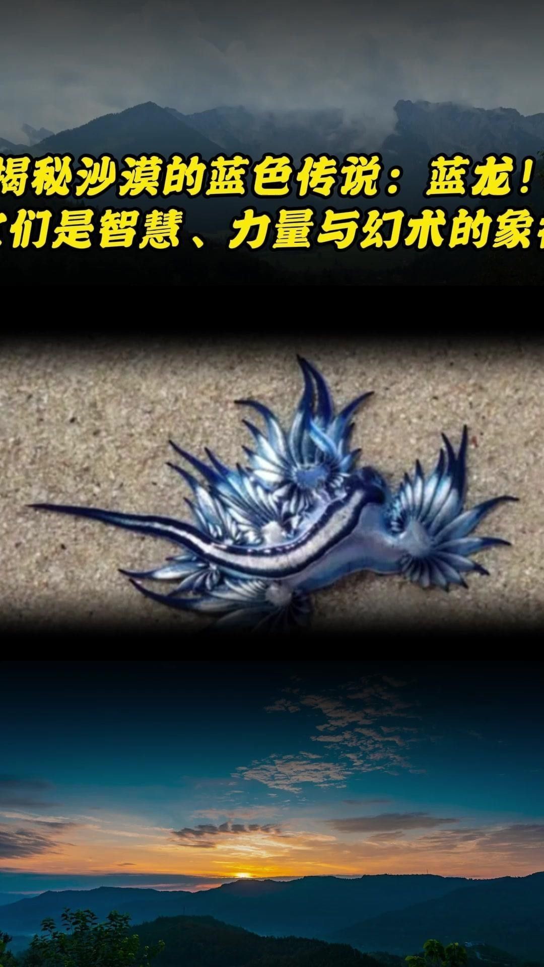 再給我一些紅龍與藍龍的文化差異