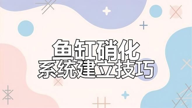 給我一份詳細的硝化菌培養步驟