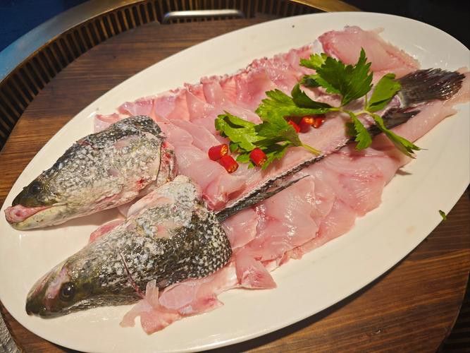 烏龍魚是什么魚圖片大全視頻