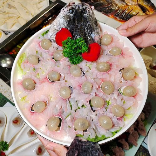 烏龍魚是什么魚圖片大全視頻