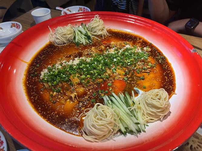 烏龍魚是什么魚圖片大全視頻