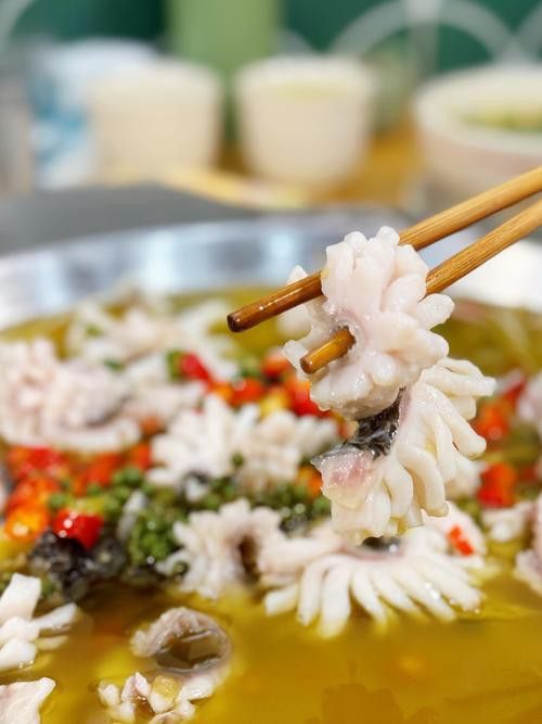 烏龍魚是什么魚圖片大全視頻