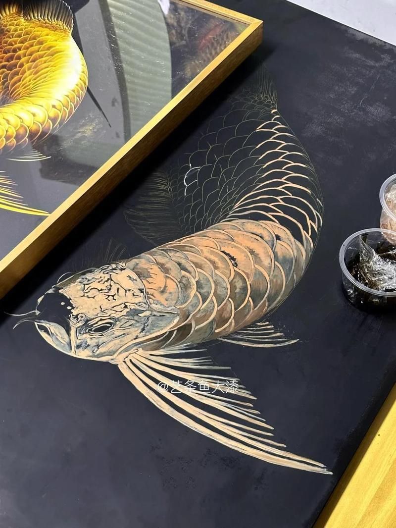 能提供幾張龍魚鎮(zhèn)宅的圖片嗎？