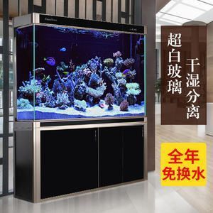 辦公室養(yǎng)金龍魚的風水講究 辦公室養(yǎng)金龍魚的風水講究 龍魚百科 第1張