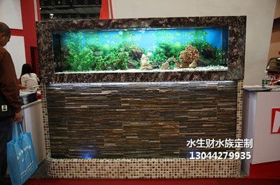 辦公室養(yǎng)金龍魚的風水講究 辦公室養(yǎng)金龍魚的風水講究 龍魚百科 第3張